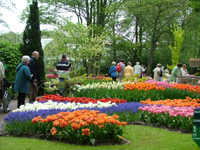 Dalat Tours