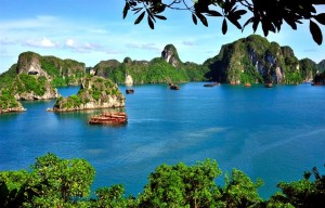 Halong Junks