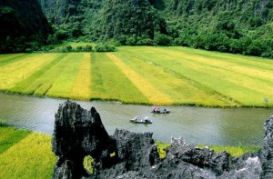 Van Long Nature Reserve